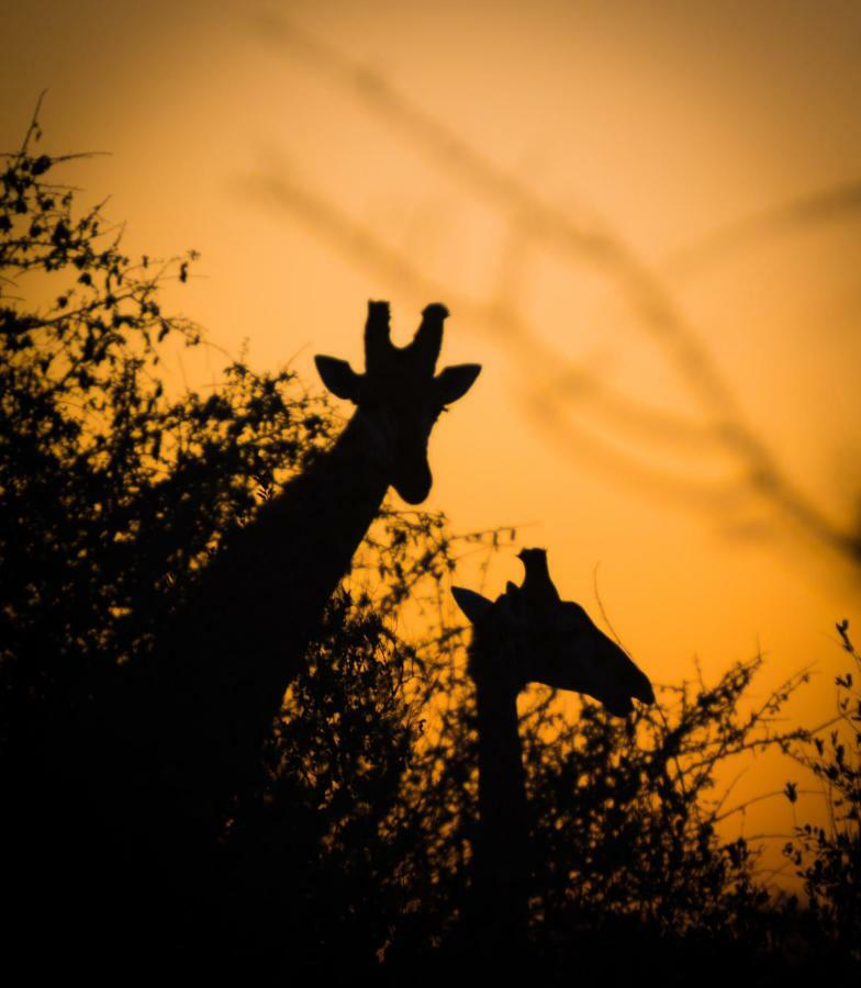 Umkhumbi Lodge Hluhluwe Buitenkant foto